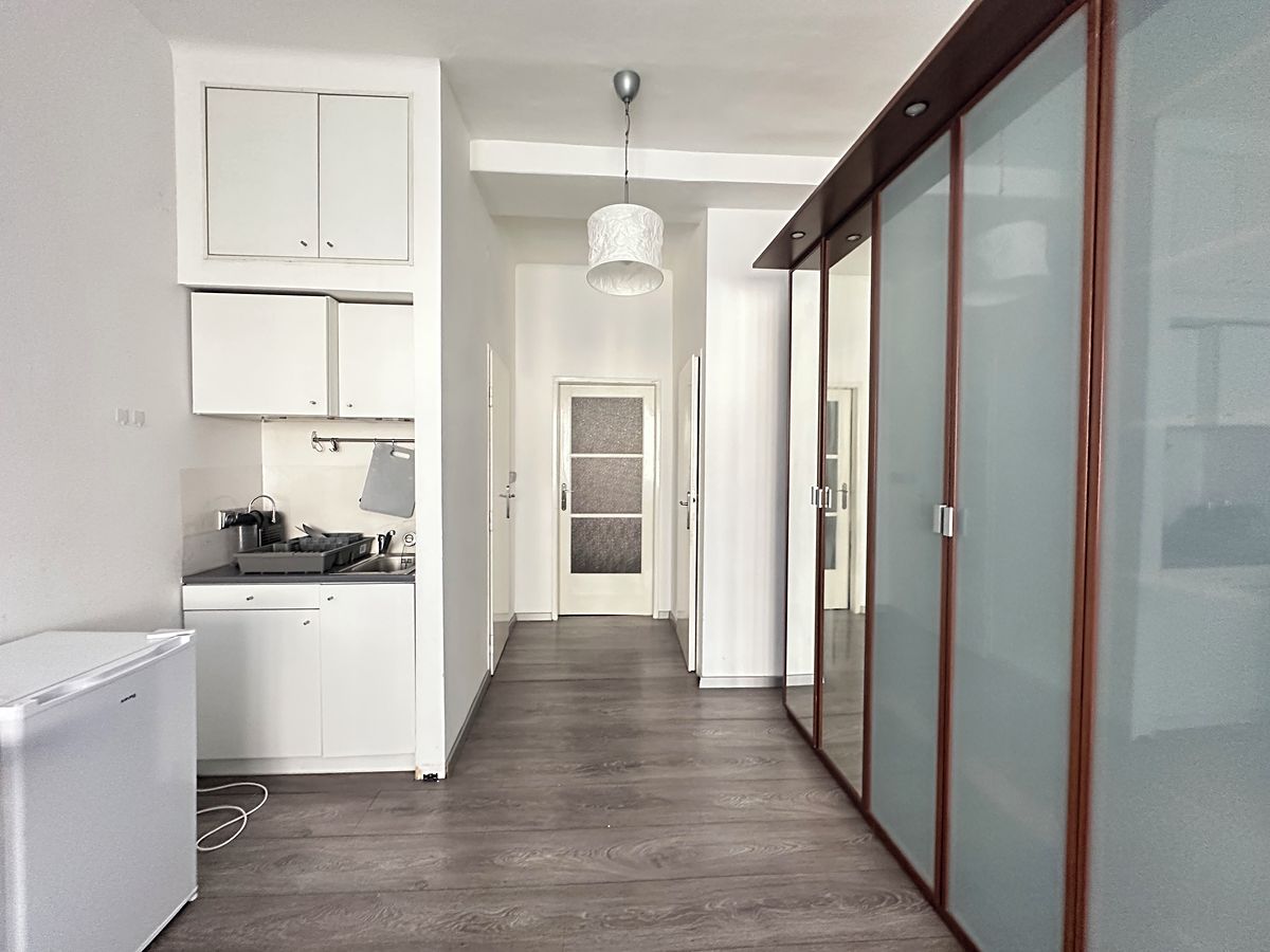 Pronájem bytu 1+kk 30 m² – fotografie 5