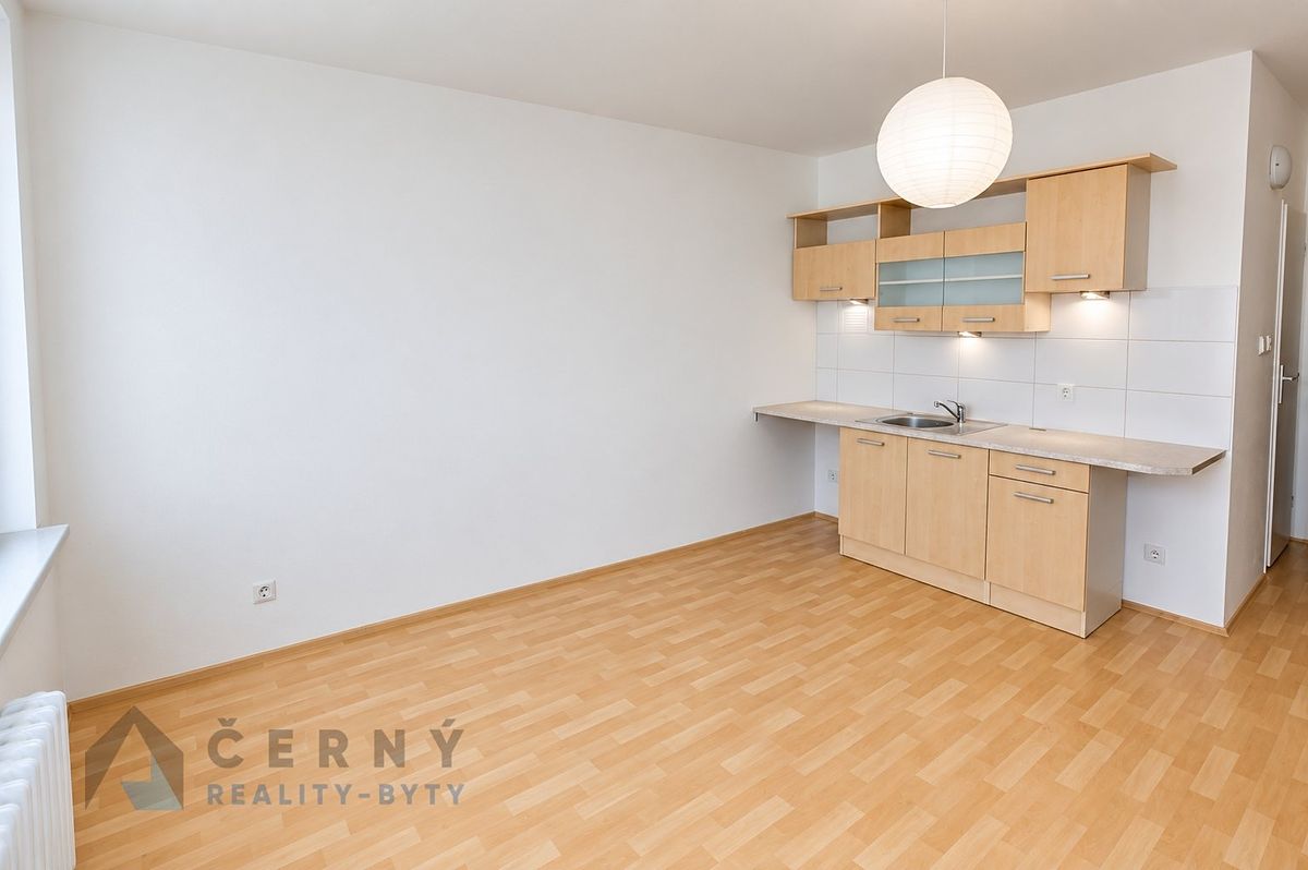 Pronájem bytu 1+1 36 m² – fotografie 4