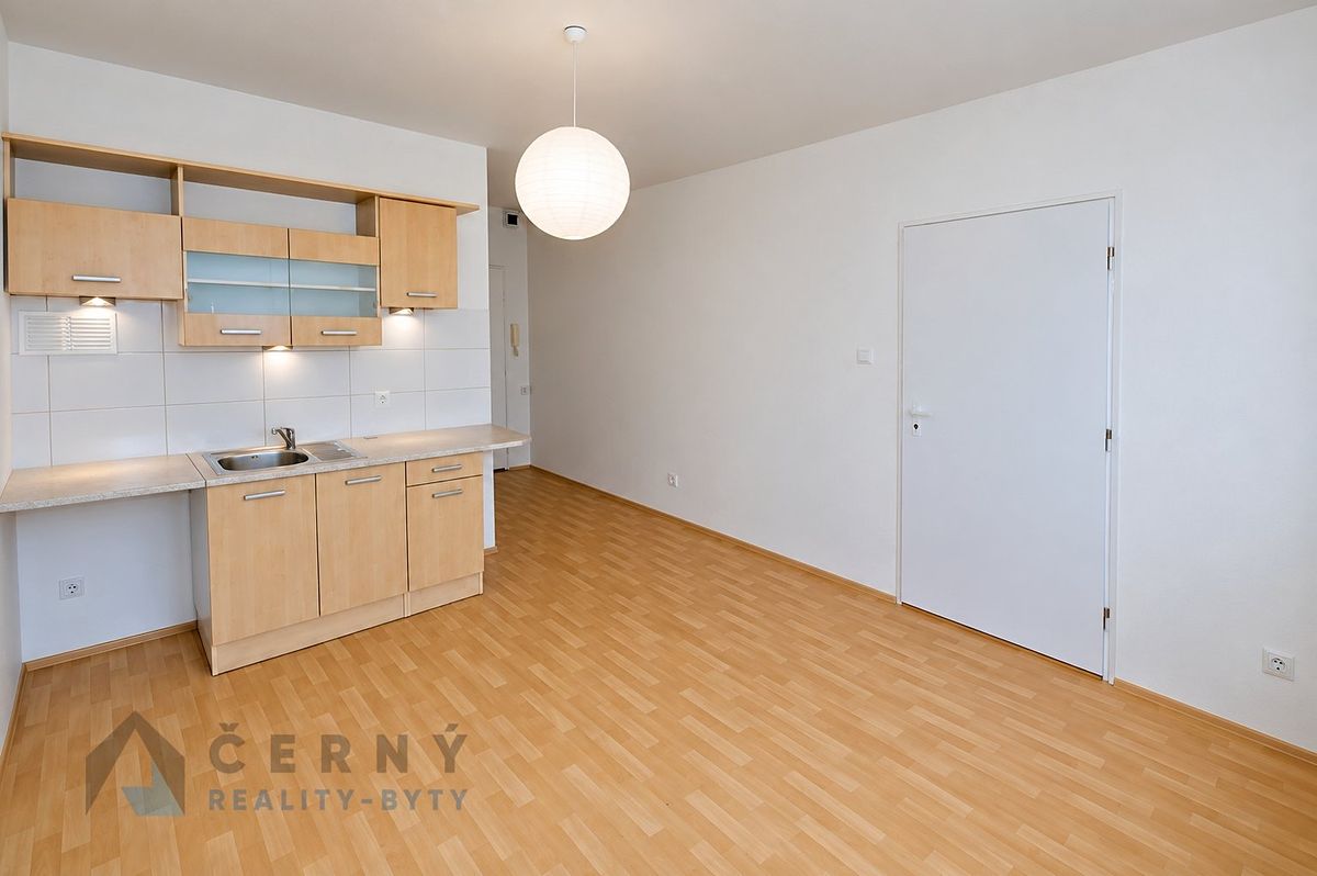 Pronájem bytu 1+1 36 m² – fotografie 5