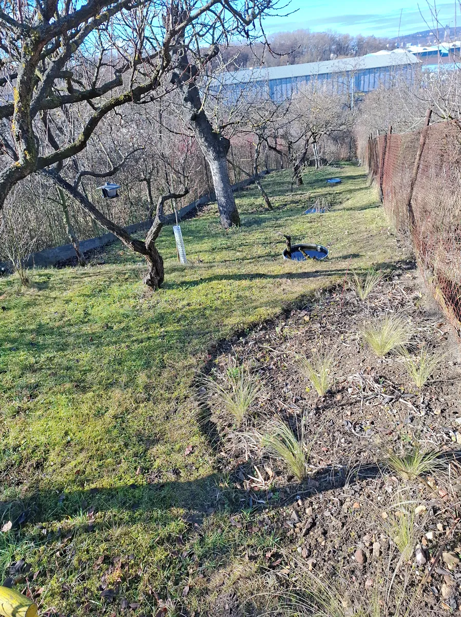 Fotka 5 z 13