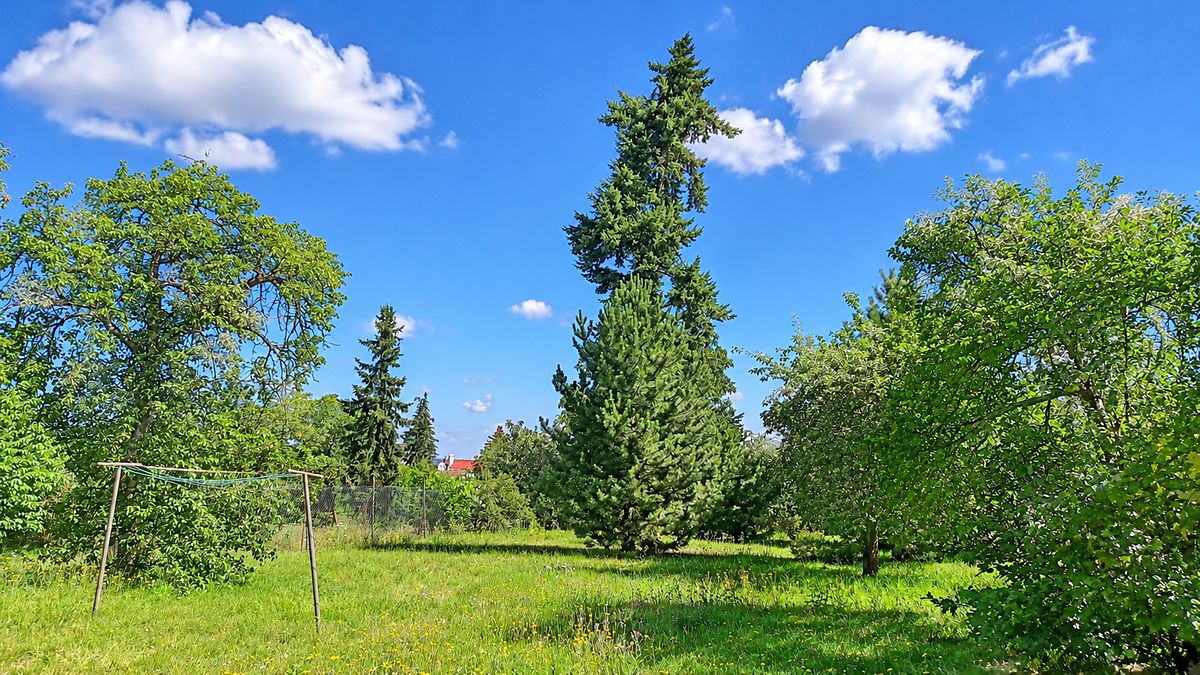 Prodej bytu 1+1 35 m² – fotografie 2