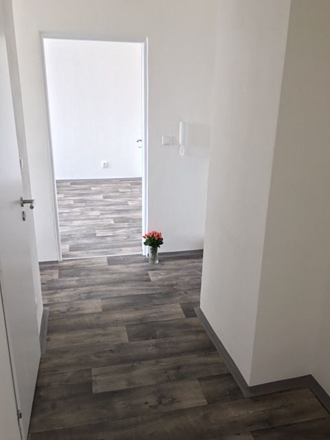 Pronájem bytu 2+1 50 m² – fotografie 5