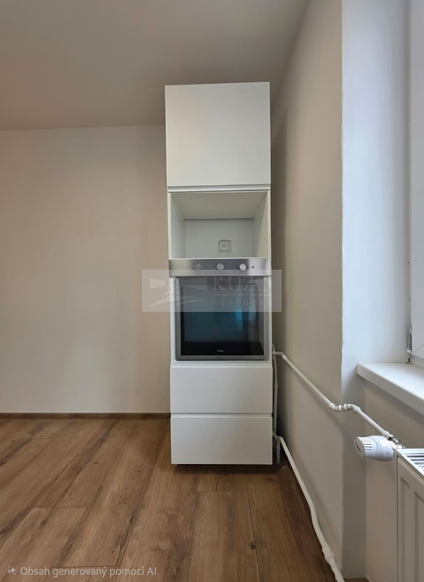 Pronájem bytu 2+1 49 m² – fotografie 3