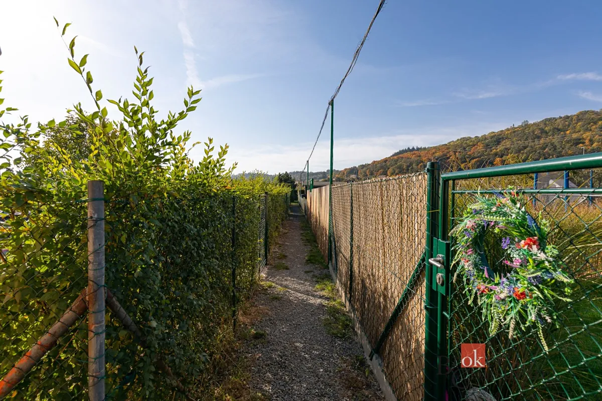 Fotka 12 z 19