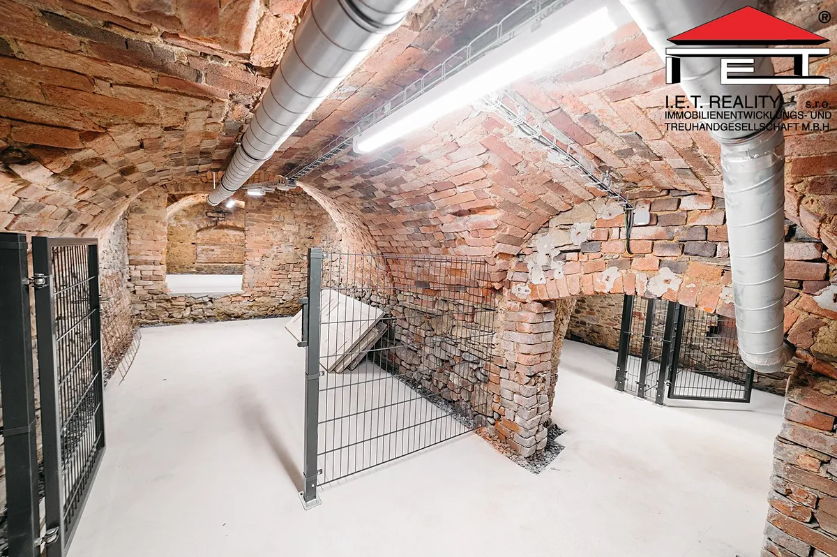 Fotka 21 z 27
