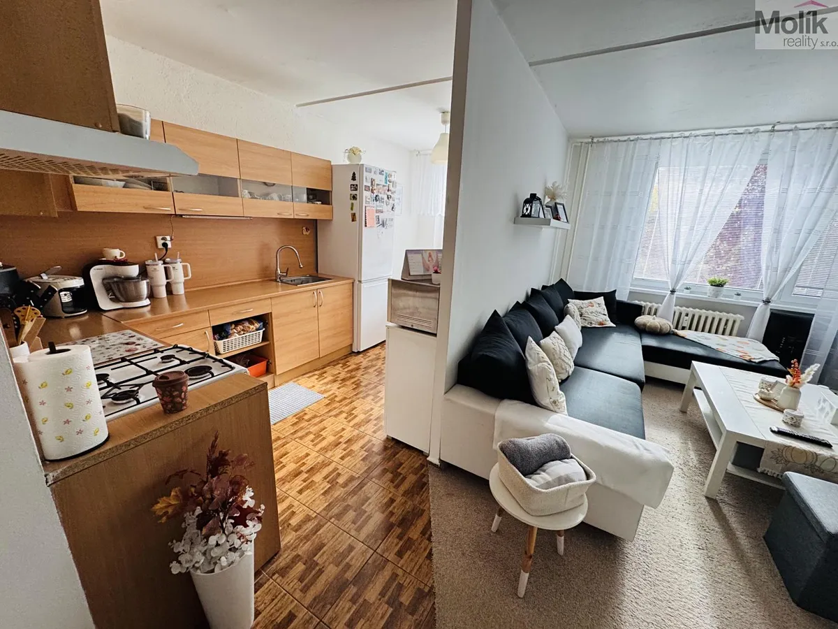 Prodej bytu 3+1 68 m²