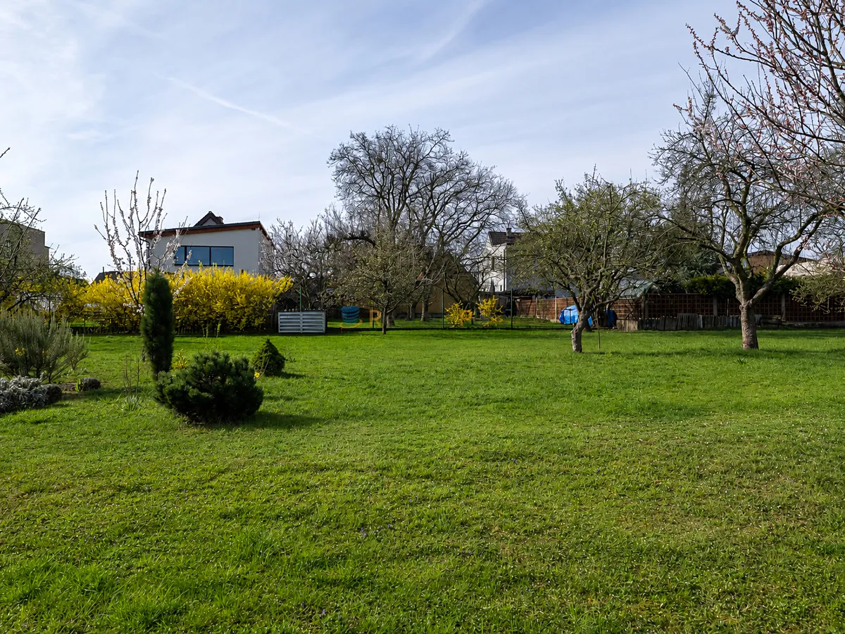 Fotka 20 z 26