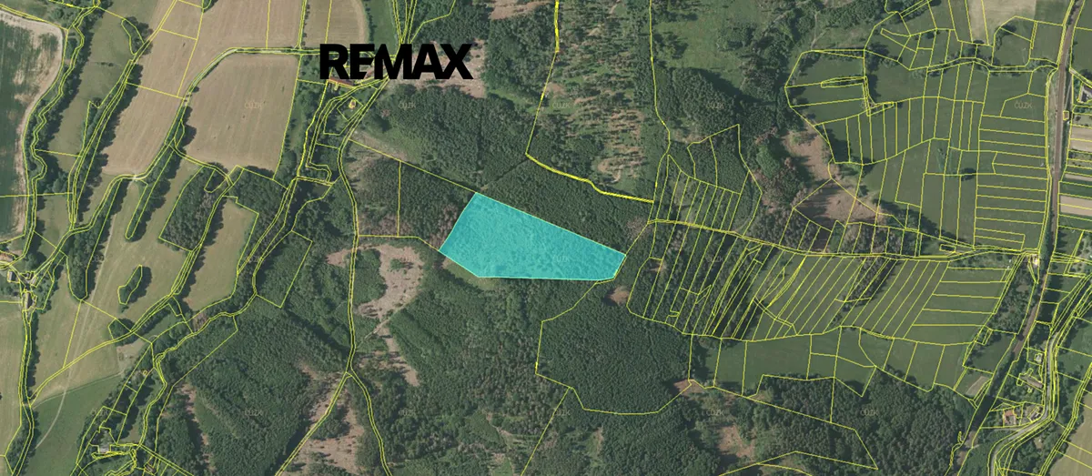 Prodej lesa 33347 m²