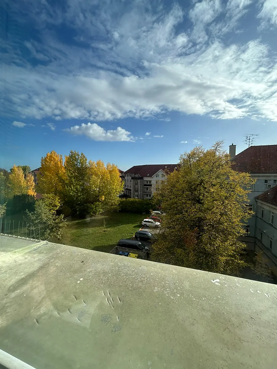 Fotka 14 z 15