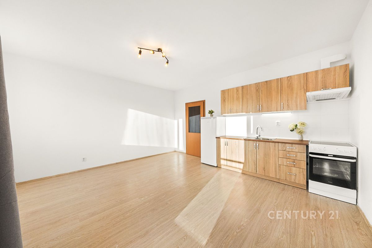 Pronájem bytu 1+kk 36 m²
