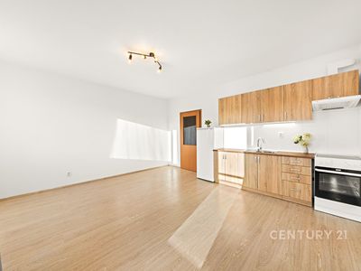 Pronájem bytu 1+kk 36 m²