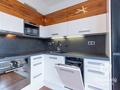 Wohnung 2+kk zur Miete, 50 m² (2 von 15)