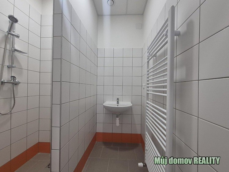 Pronájem komerčního prostoru, 550 m² (10 z 24)