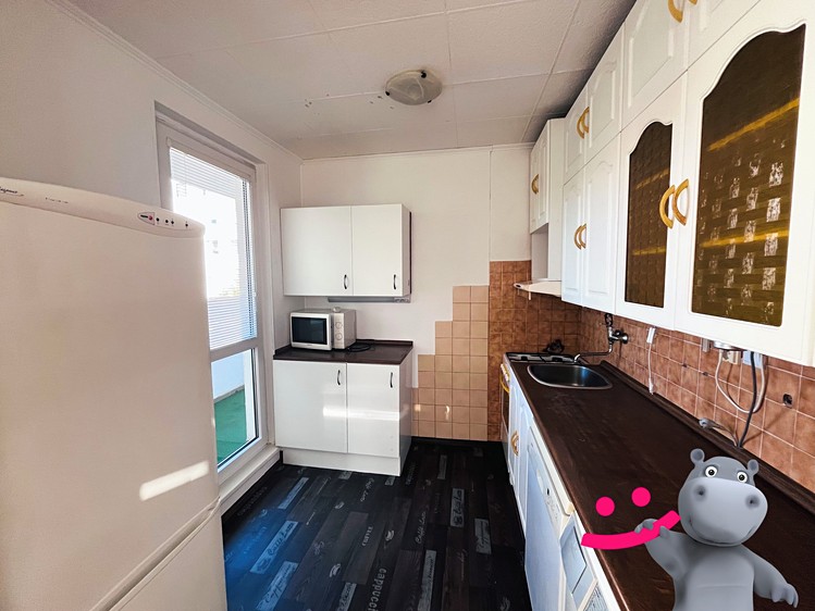 Wohnung 4+1 zur Miete, 82 m² (3 von 14)