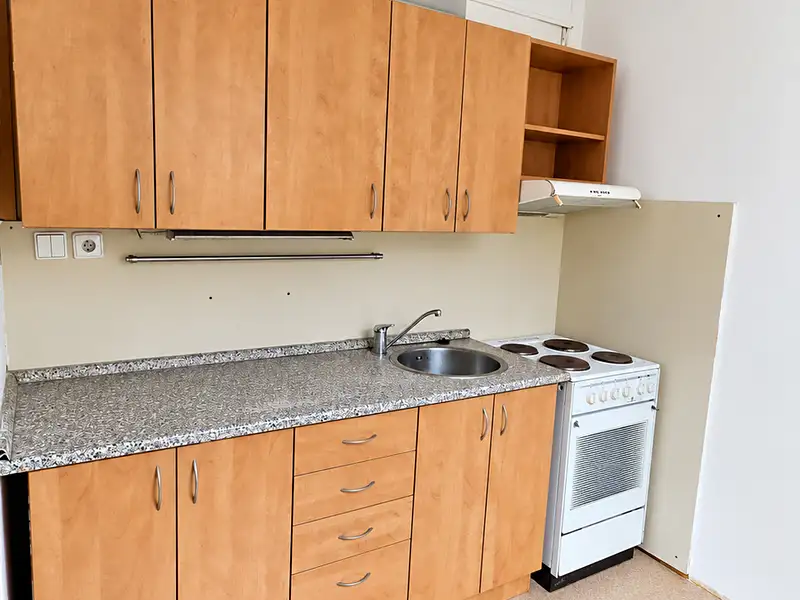 Prodej bytu 2+kk 43 m², Bílina – náhled fotky 2