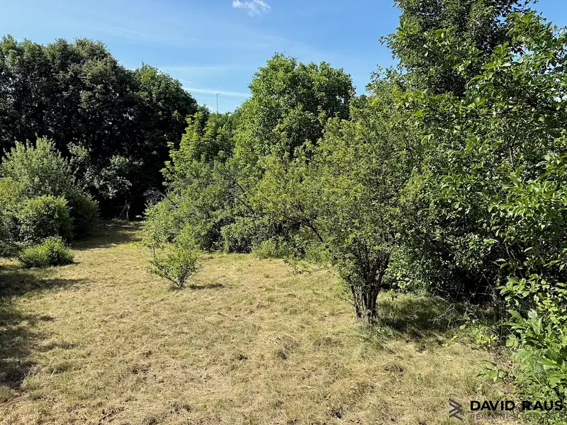 Prodej stavebního pozemku 475 m², Silůvky – náhled fotky 1