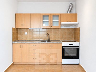Pronájem bytu 1+kk, 42 m² (3 z 18)