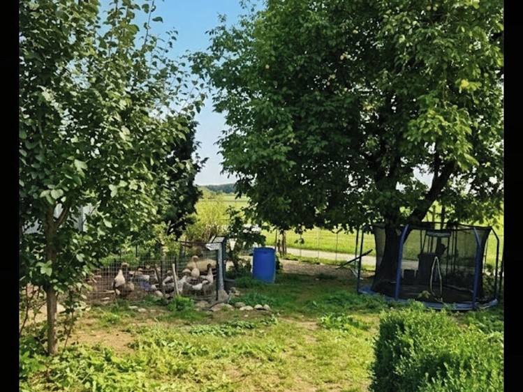Prodej domu, 215 m² (38 z 38)