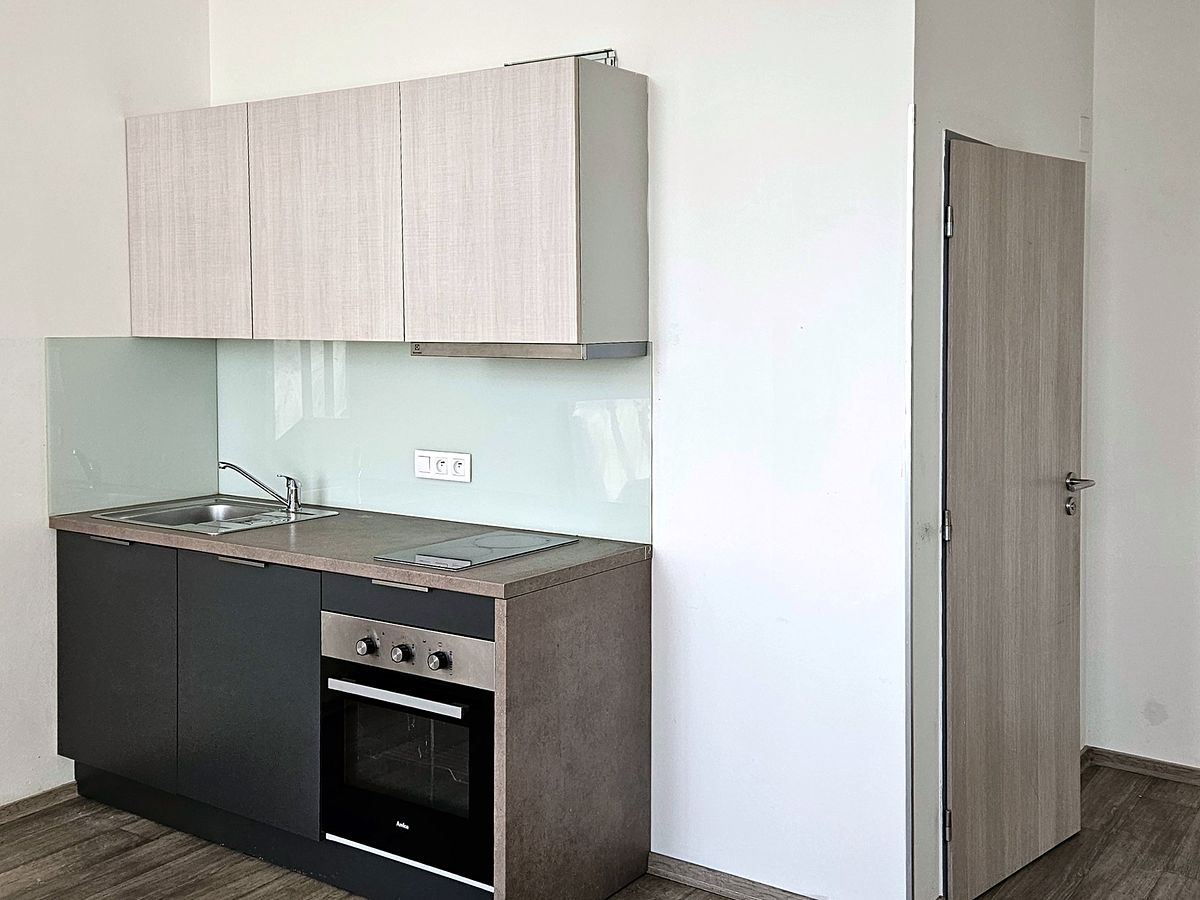 Pronájem bytu 1+kk 33 m² – fotografie 3