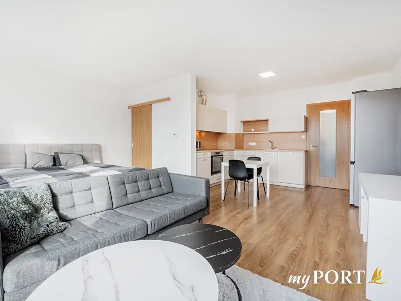 Pronájem bytu 1+kk 41 m², Plzeň – náhled fotky 1