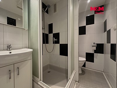 The 1+kk flat for rent, 20 m² (3 of 9)