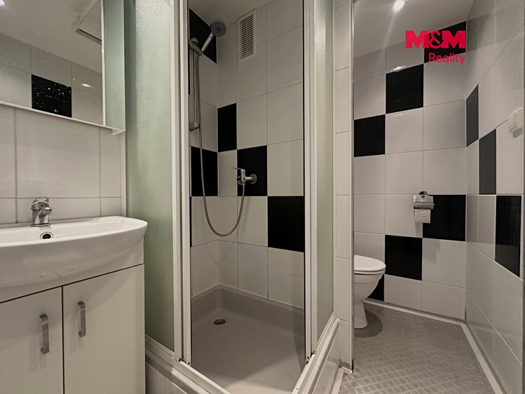The 1+kk flat for rent, 20 m² (3 of 9)
