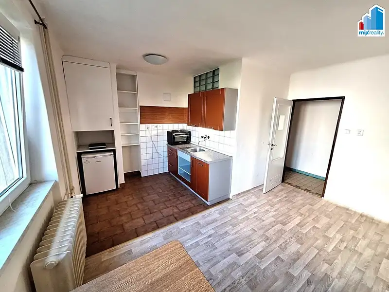 Pronájem bytu 1+kk 29 m², Plzeň – náhled fotky 2