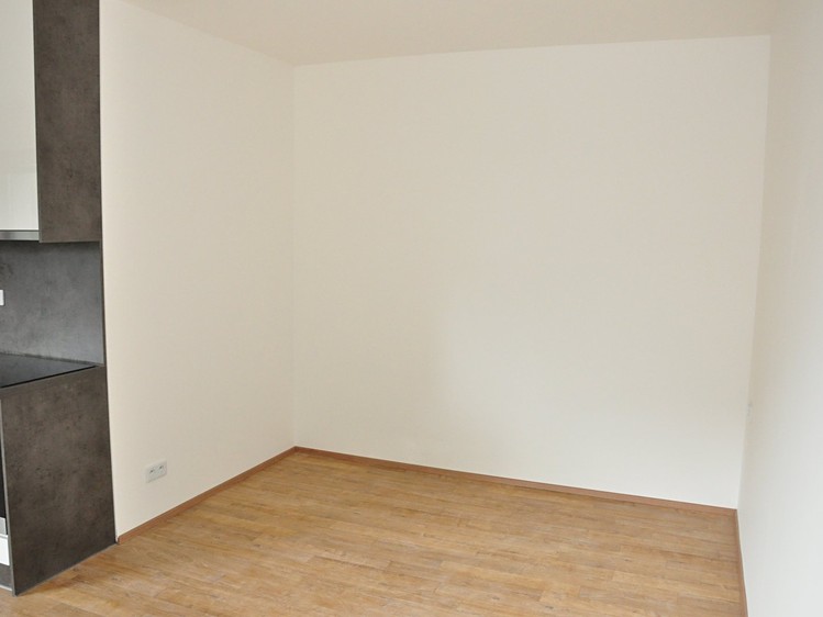 The 1+kk flat for rent, 29 m² (4 of 7)