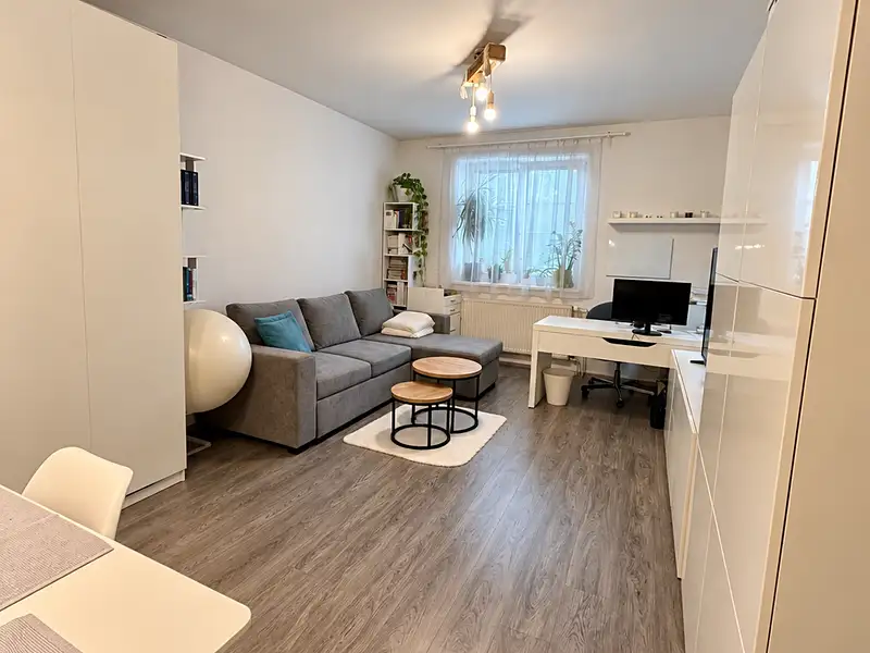 Prodej bytu 2+1 64 m², Brno – náhled fotky 1