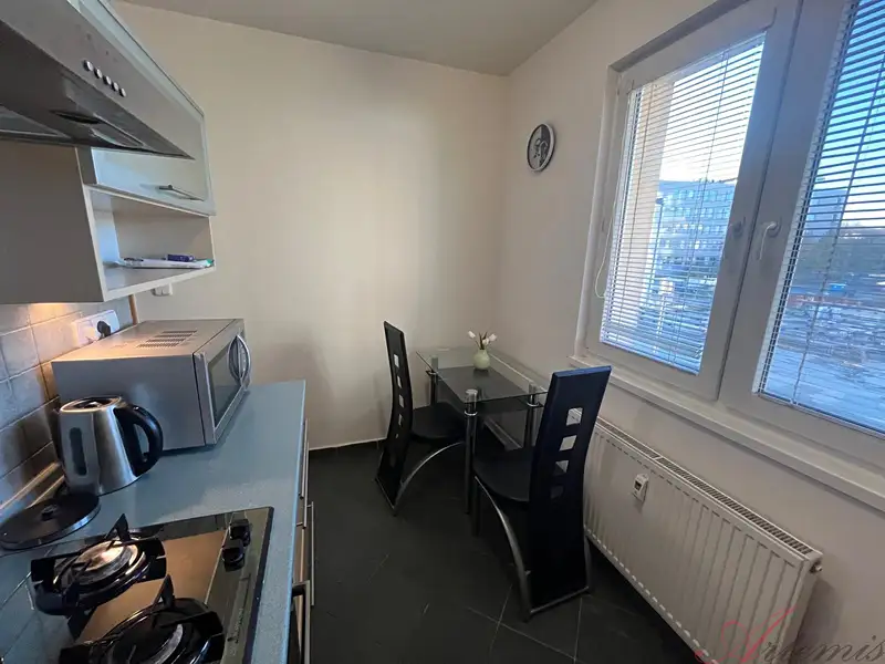 Pronájem bytu 2+1 56 m², Ostrava – náhled fotky 3