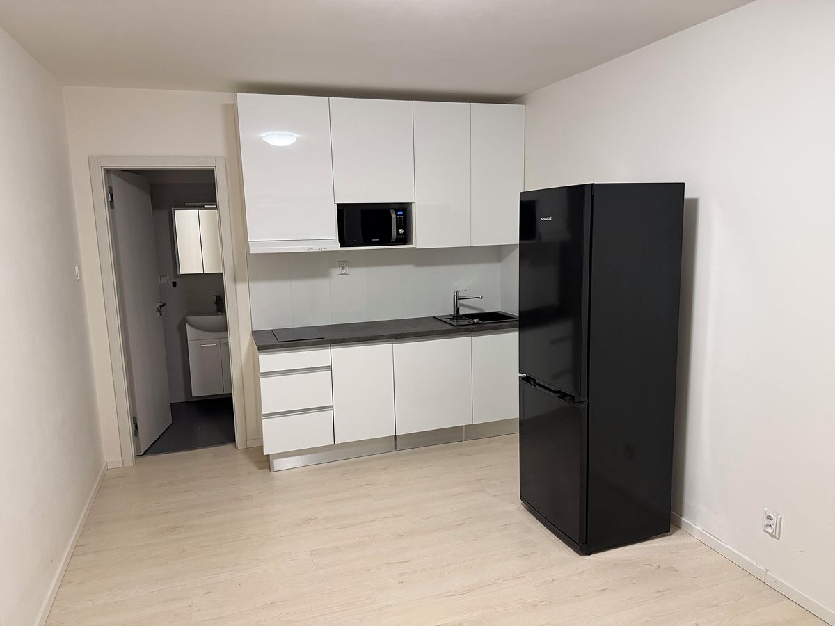 Pronájem bytu 1+kk 22 m², Brno – fotka 1 z 3