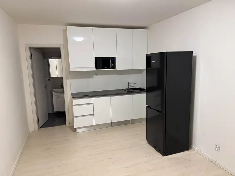 Pronájem bytu 1+kk 22 m², Brno – náhled fotky 1