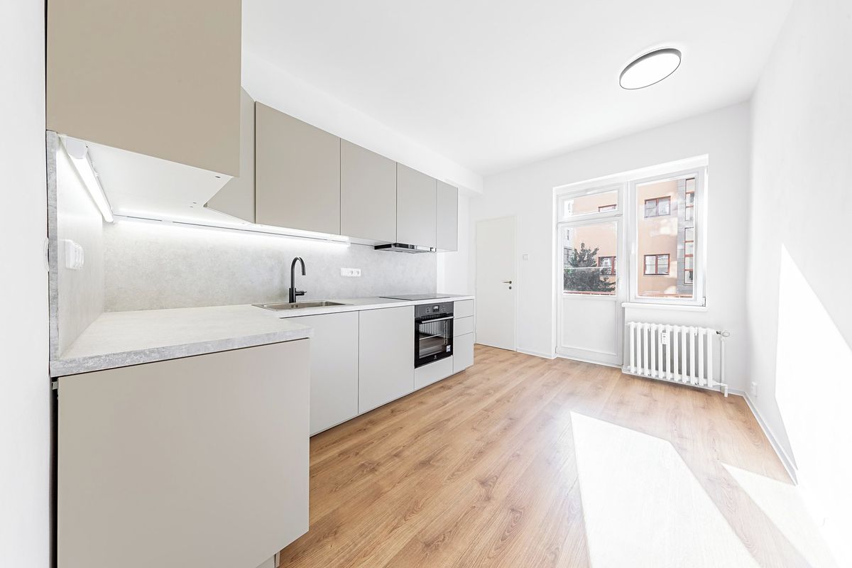 Pronájem bytu 1+1 48 m²