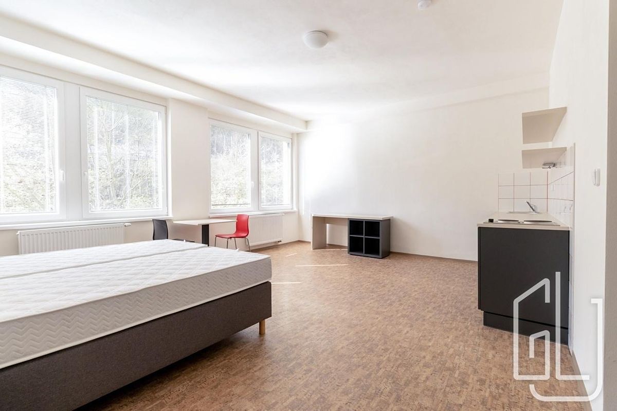 Pronájem bytu 1+kk 35 m² – fotografie 3