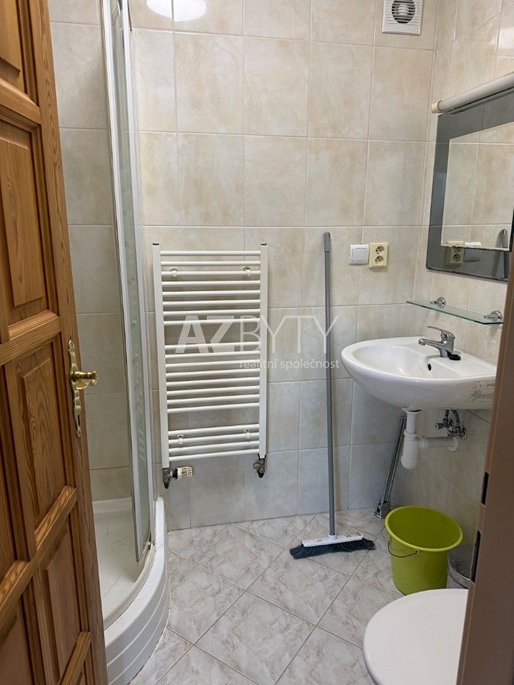 Pronájem bytu 1+1 40 m² – fotografie 3