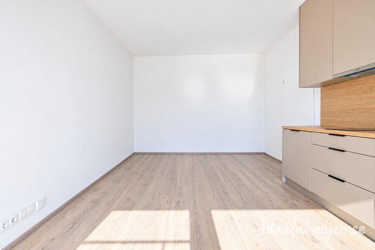 Pronájem bytu 1+kk 40 m² – fotografie 4