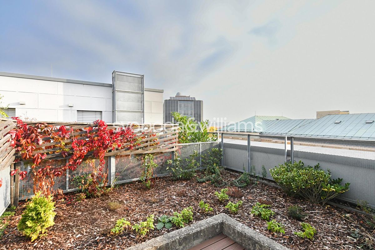Pronájem bytu 3+kk 107 m² – fotografie 5
