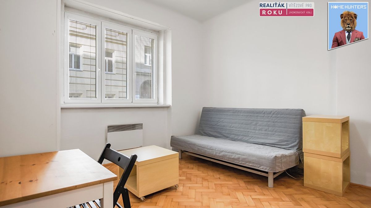 Pronájem bytu 1+kk 20 m² – fotografie 2
