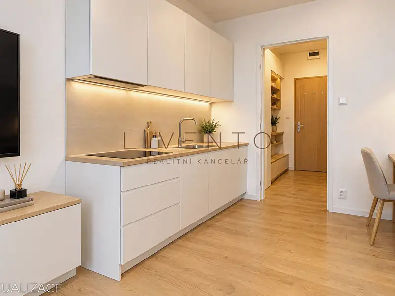 Prodej bytu 1+kk 20 m², Brno – náhled fotky 2
