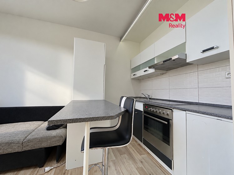 The 1+kk flat for rent, 20 m² (1 of 9)