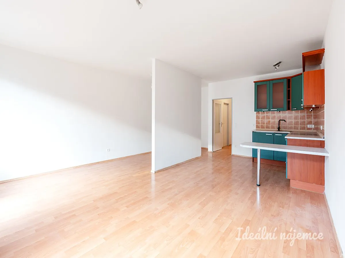 Pronájem bytu 1+kk 47 m²