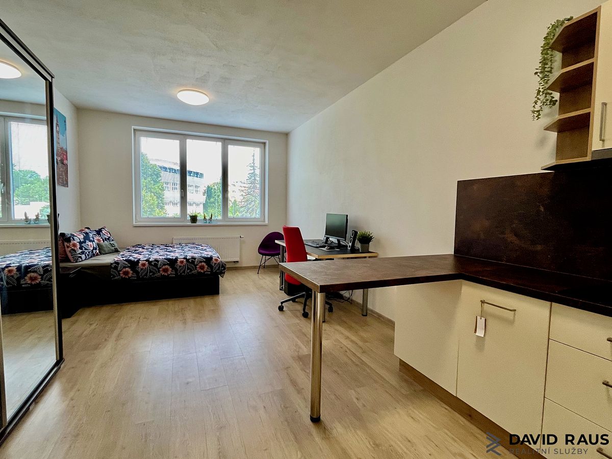 Pronájem bytu 1+kk 34 m² – fotografie 5