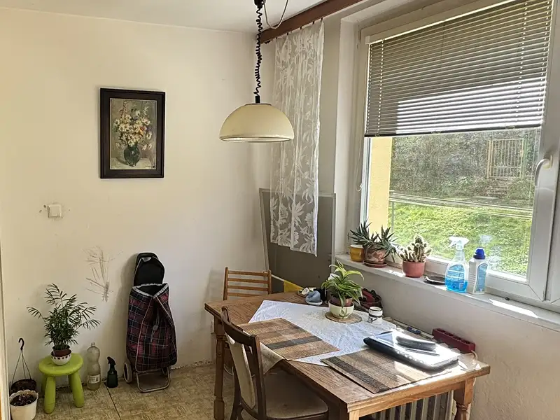 Prodej bytu 1+1 30 m², Brno – náhled fotky 3