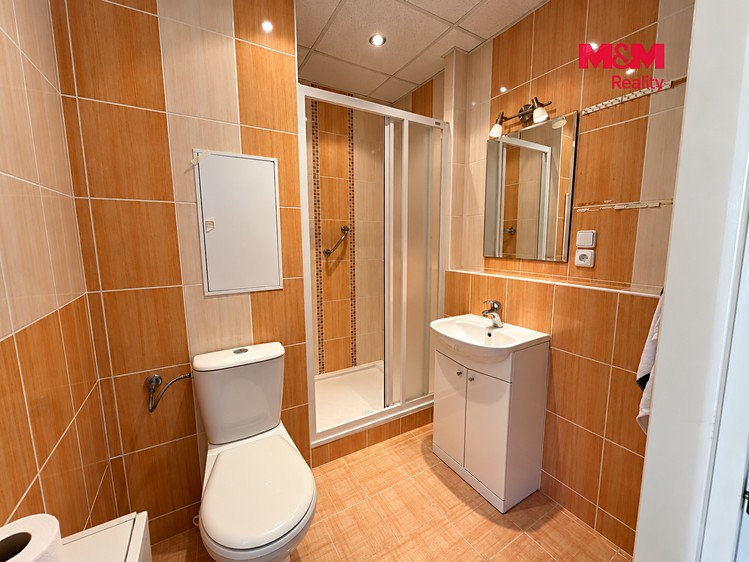 The 1+1 flat for rent, 35 m² (6 of 9)