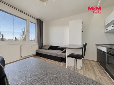 The 1+kk flat for rent, 20 m² (2 of 9)