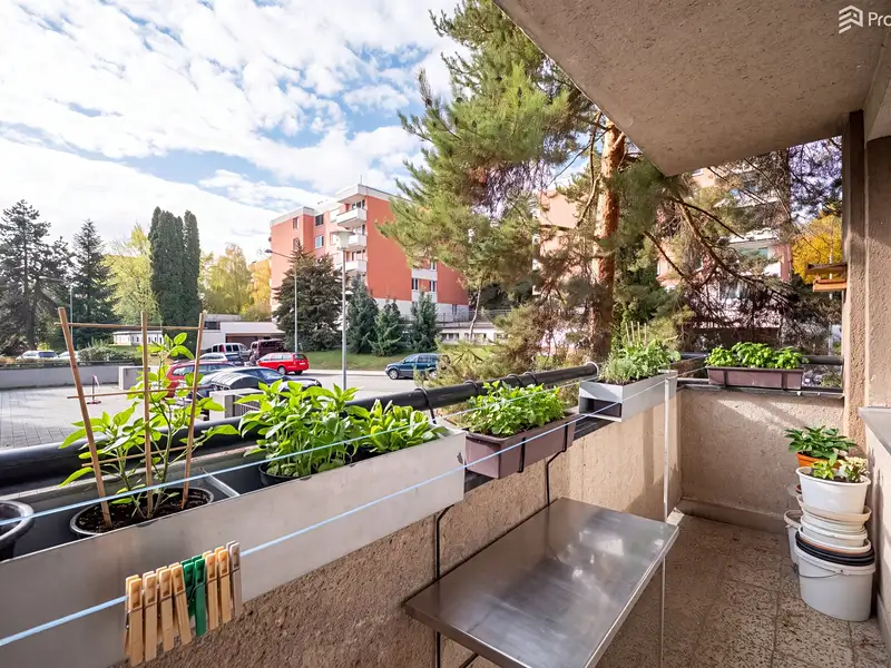 Prodej bytu 3+1 72 m², Brno – náhled fotky 2