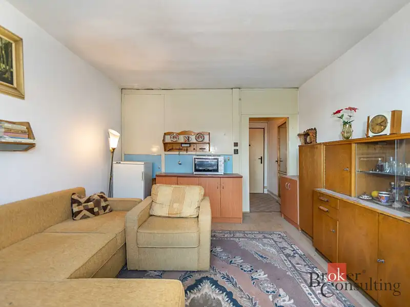 Prodej bytu 1+kk 21 m², Plzeň – náhled fotky 2