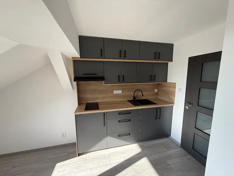 Prodej bytu 2+kk 51 m², Plzeň – náhled fotky 1
