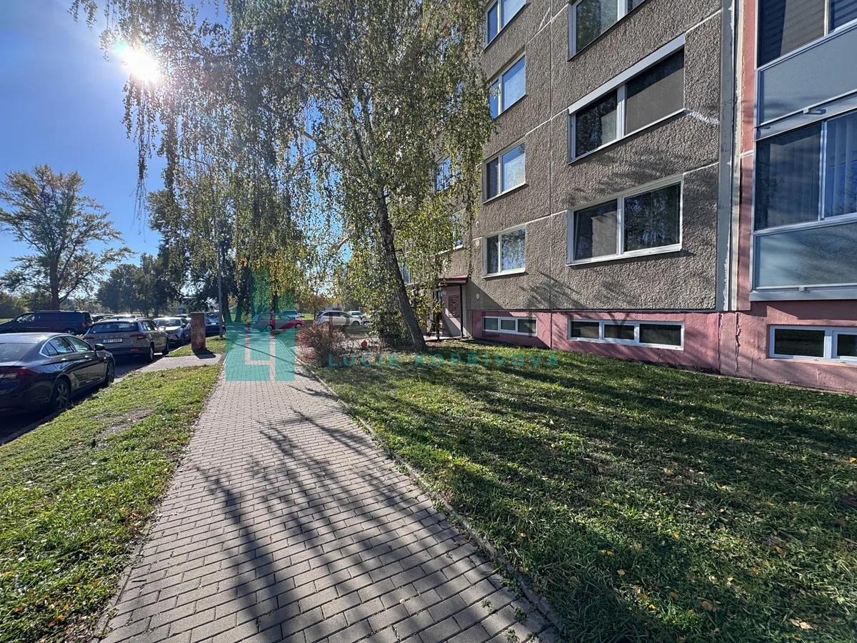 Fotka 16 z 16
