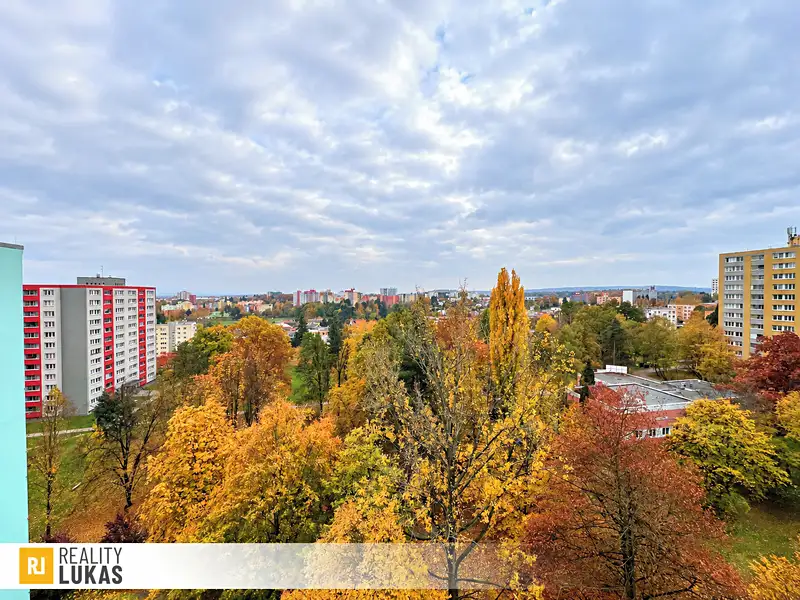 Pronájem bytu 1+1 41 m², Ostrava – náhled fotky 3